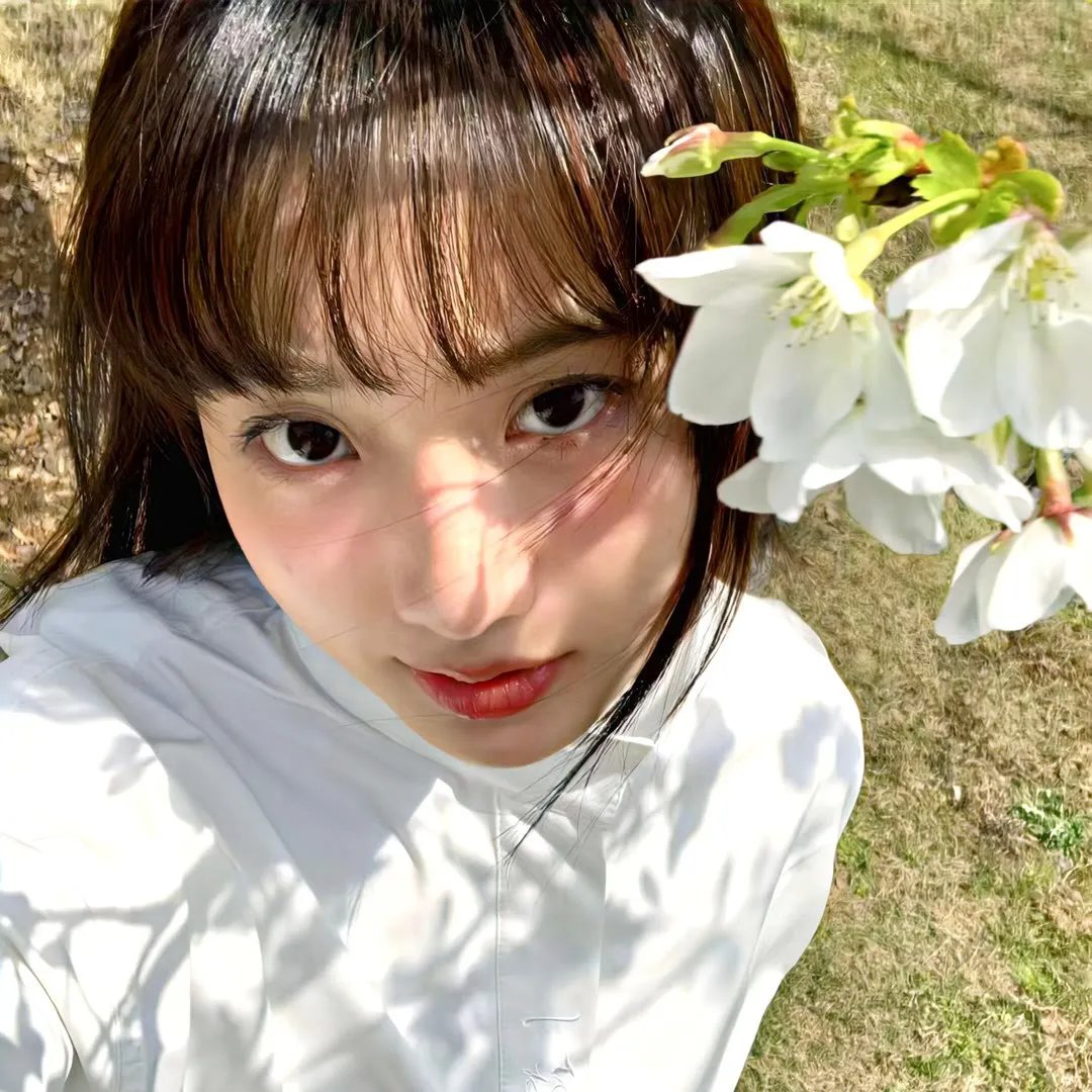 刀工 在线观看